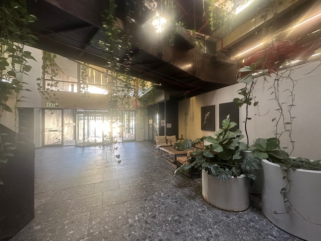 To Let commercial Property for Rent in Zonnebloem Western Cape